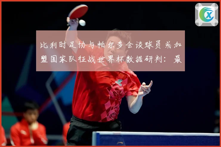 比利时足协与帕尔多会谈球员或加盟国家队征战世界杯数据研判：最新赛事动态与深度分析