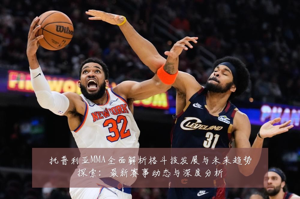 托普利亚MMA全面解析格斗技发展与未来趋势探索:最新赛事动态与深度分析